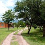 Yerba Buena Nono